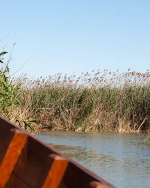 Escursione al Parco Naturale dell'Albufera