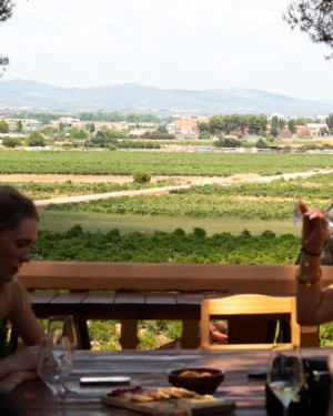 Escursione a Bodegas Utiel-Requena con degustazione in vigna