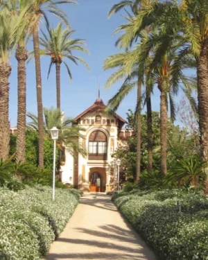 Escursione al frutteto di arance