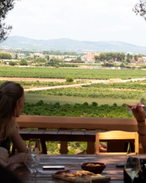 Esperienza del caseificio: degustazione di formaggi e vini a Utiel-Requena