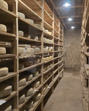 Esperienza del caseificio: degustazione di formaggi e vini a Utiel-Requena